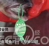 �~(y��)�(l��i)��(bi��o)��