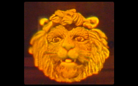 �y�}��(bi��o)��