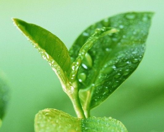 ���~����