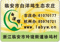 �r�aƷ����