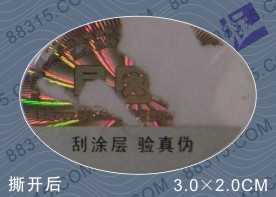 ���_���Ɖ�